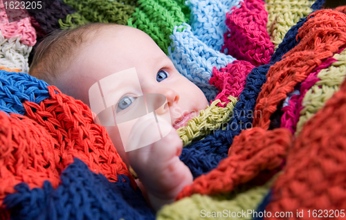 Image of Blue Eyes