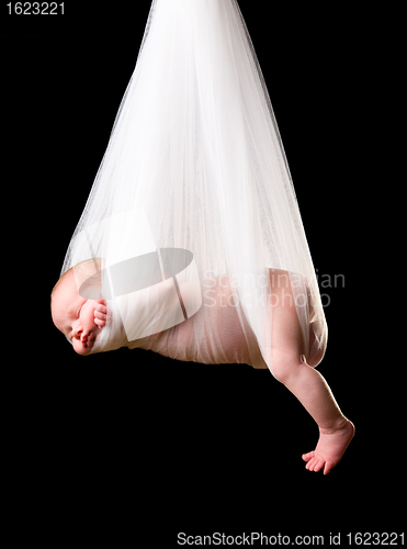 Image of Stork Baby Package