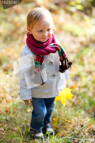 Image of Toddler girl at autumn park