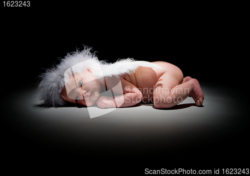 Image of Baby Angel