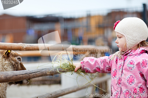 Image of Girl at farm