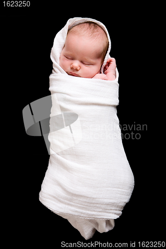 Image of Baby Cocoon