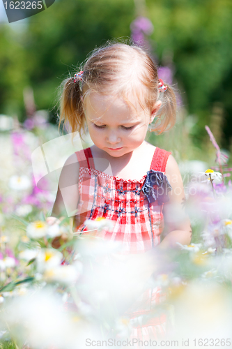 Image of Little girl in meadow