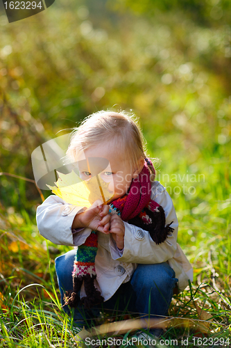 Image of Toddler girl with yellow leaf
