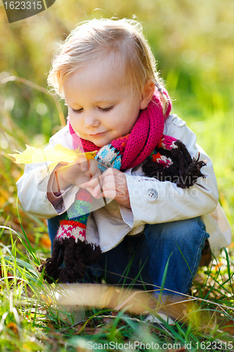 Image of Toddler girl in autumn park