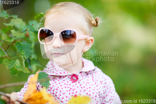 Image of Cute girl in autumn park