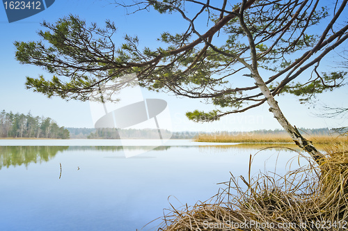 Image of Bavarian lake