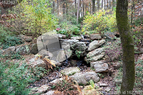 Image of Small Spring