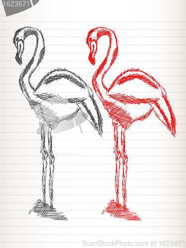 Image of Flamingo sketch