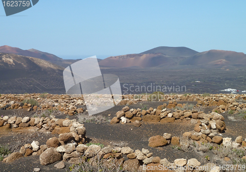 Image of landscape at Lanzarote