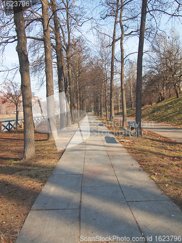 Image of Path among trees