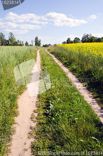 Image of rural gravel road rapeseed fields sky background 