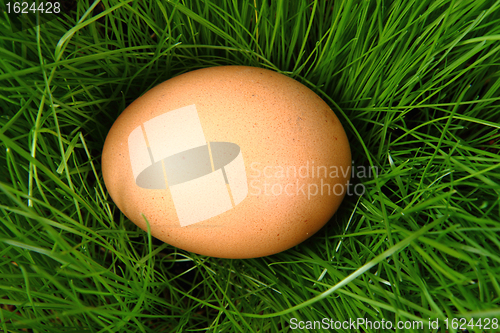 Image of easter egg 