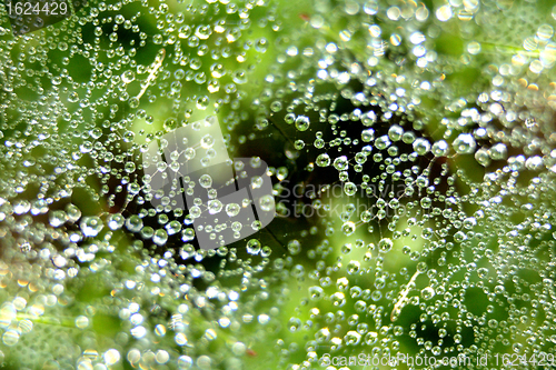 Image of water background