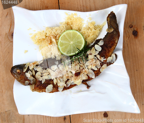 Image of baked trout fishes