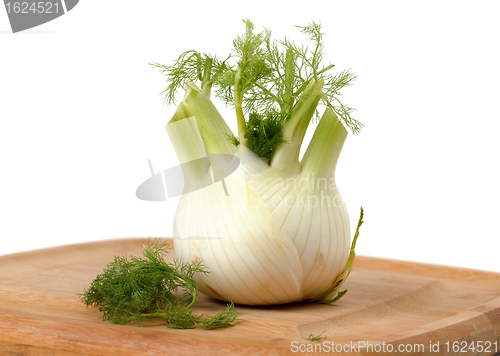 Image of Fresh fennel