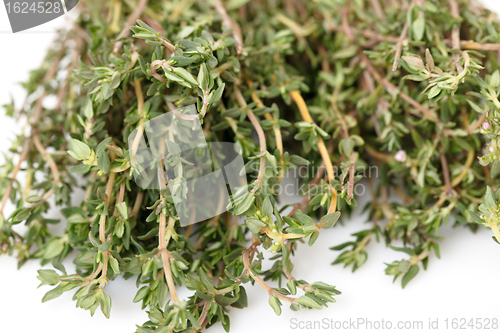 Image of Fresh Thyme