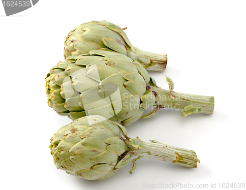 Image of Fresh artichoke