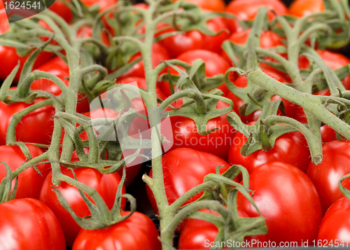 Image of Cherry tomatoes