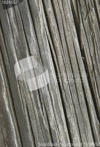 Image of Old cracked wood