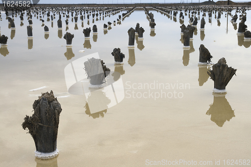 Image of Salt lake Baskunchak