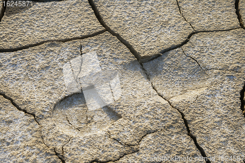 Image of Footprint in dried earth