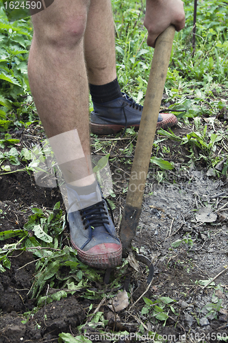 Image of Loosing the soil