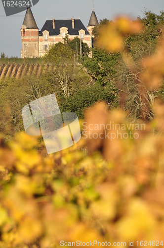 Image of wineyard of sauternes