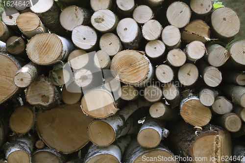 Image of Wood stack background