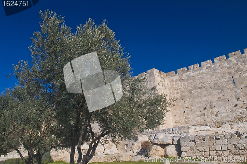 Image of Jerusalem wall