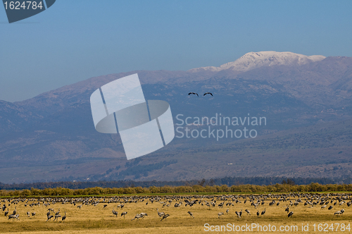 Image of Mount Hermon