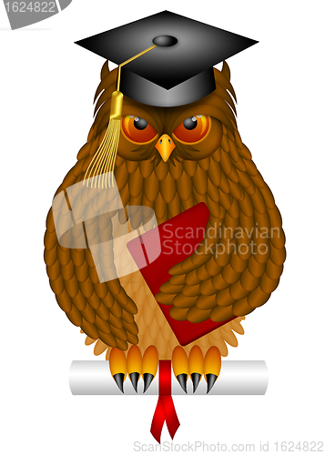 Image of Wise Old Owl with Graduation Cap and Diploma Illustration