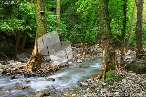 Image of Stream