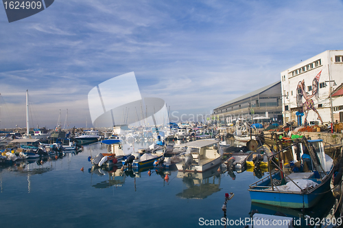 Image of Jaffa port