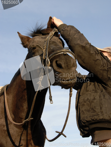 Image of teenager , bridle and her horse