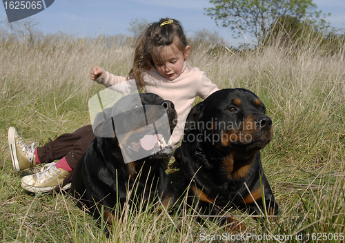 Image of dangerous dogs and child