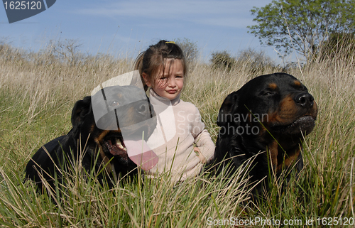 Image of dangerous dogs and child