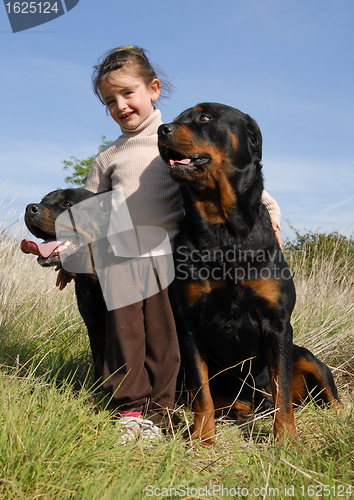 Image of little girl and rottweilers