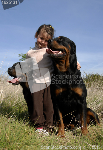 Image of dangerous dogs and child