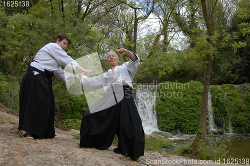 Image of training of Aikido