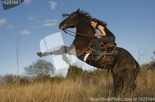 Image of rearing stallion and girl