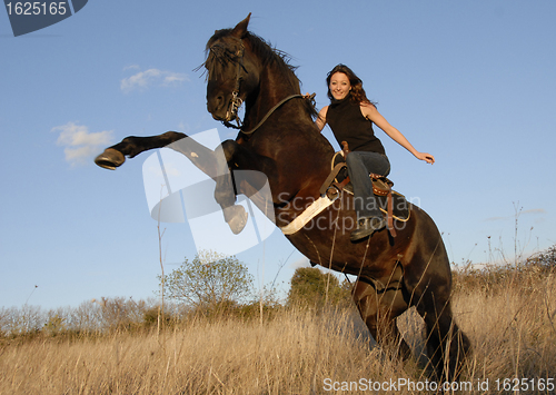 Image of rearing stallion and girl