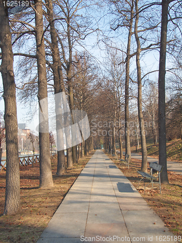 Image of Path among trees