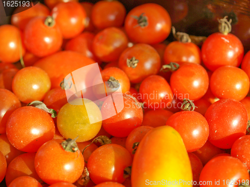 Image of Tomatoes picture