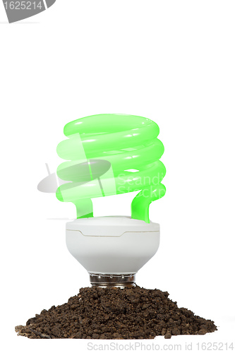 Image of Conceptual energy saving lamp on the white background 