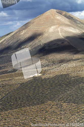 Image of Zocos in Lanzarote