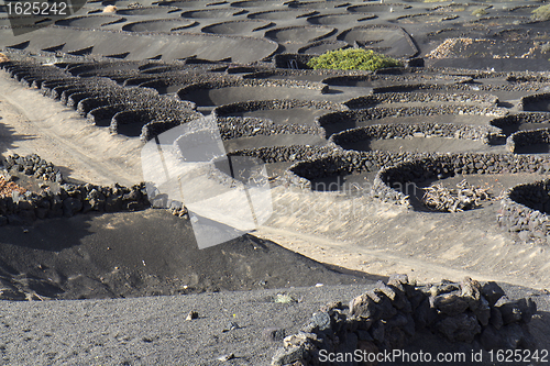 Image of Zocos in Lanzarote