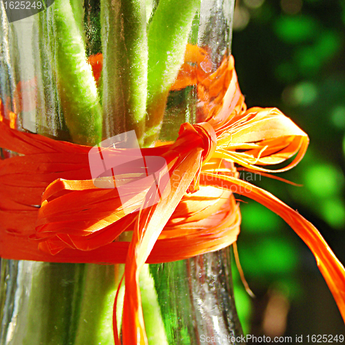 Image of Red Bow