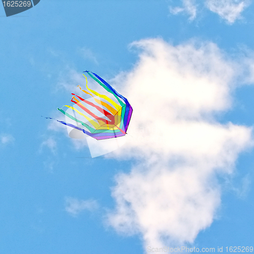 Image of Rainbow kite              