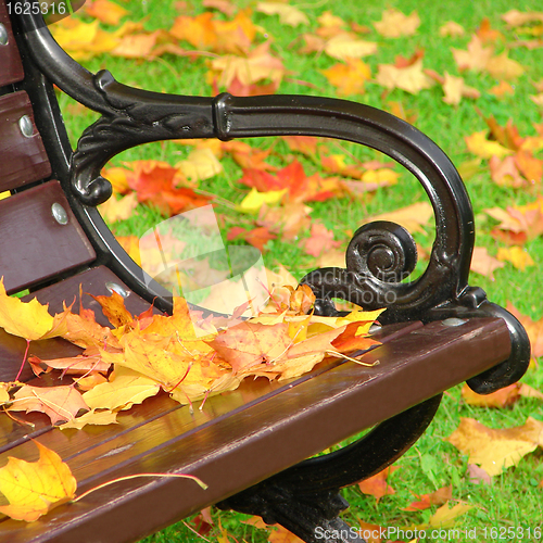 Image of Park bench in autumn